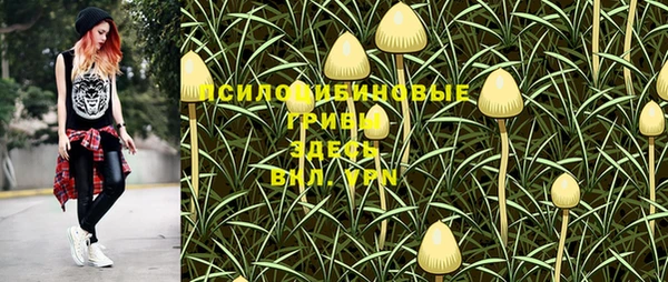 трава Верхнеуральск