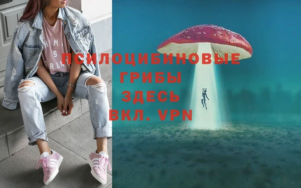 трава Верхнеуральск