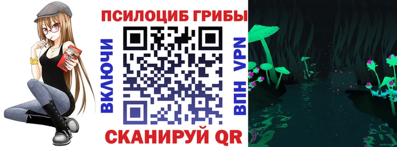 как найти Пересвет Псилоцибиновые грибы Cubensis